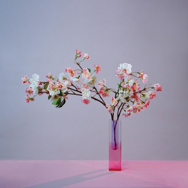 plum blossom