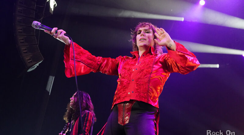 The Struts