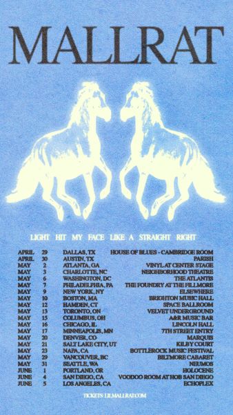 Mallrat Tour Poster