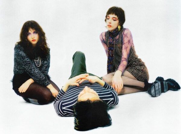 The Velveteers by Jason Thomas Geering2