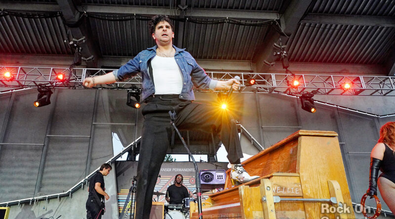 Low Cut Connie