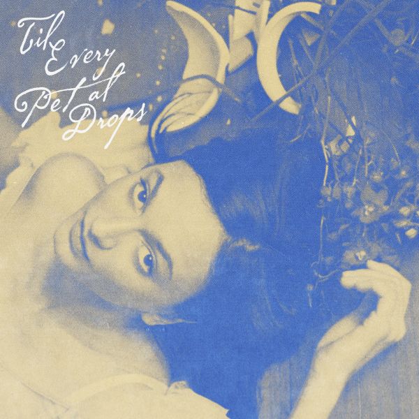 Til Every Petal Drops,