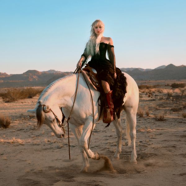 The Wild The Innocent The Raging