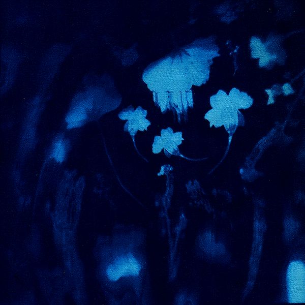 Cyanotype