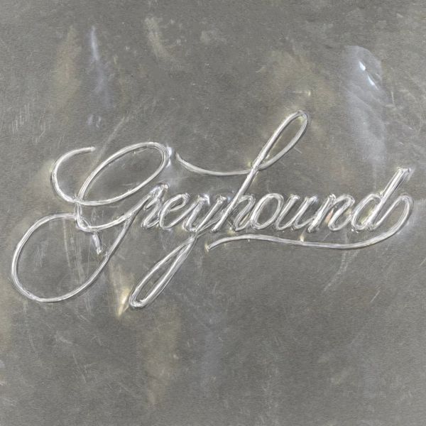 Greyhound
