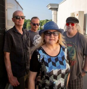 American Ocelot by John Soares