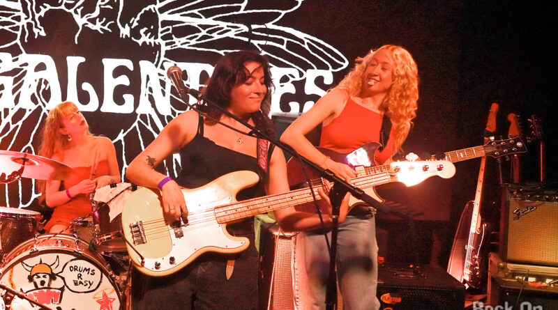 The Galentines