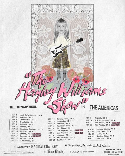 Hayley Williams Tour Poster