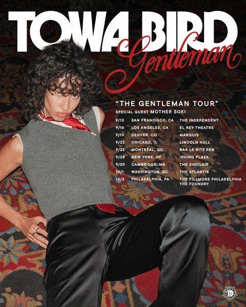 Towa Bird Tour Poster