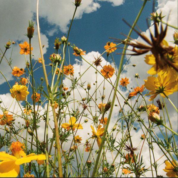 You Are Spring! 