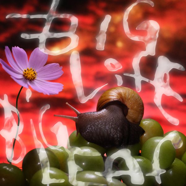 Big Life Big Leaf