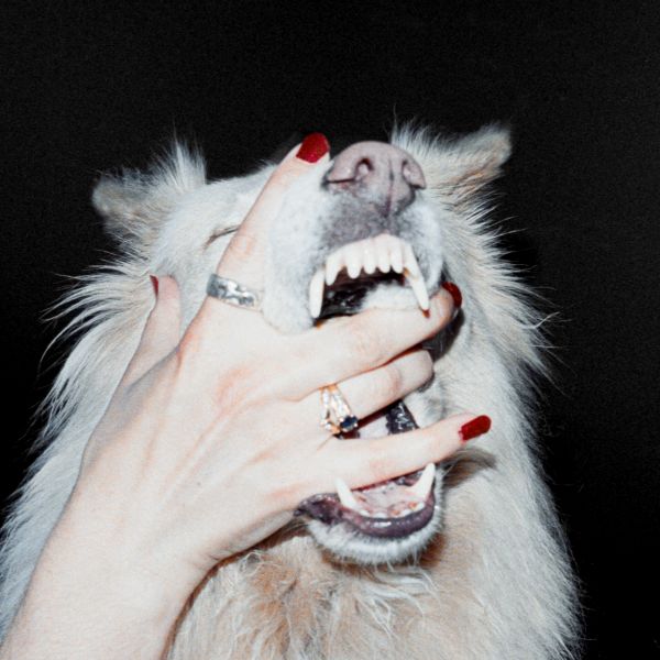 Hush