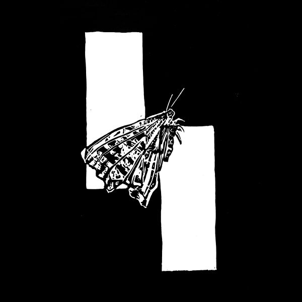 Moth
